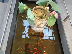 -单家老院·院子里的青岛菜(沙子口店)