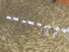 -中环花鸟鱼虫市场