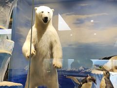 -国家自然博物馆