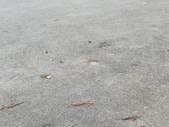 -上海市普陀区中心医院