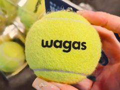 -Wagas沃歌斯(大学路店)