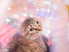 -吾悦广场(南京鼓楼店)