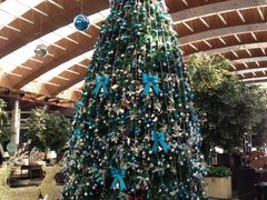 IMG_5665-苏州金鸡湖中茵皇冠假日酒店