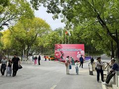 -北宫国家森林公园