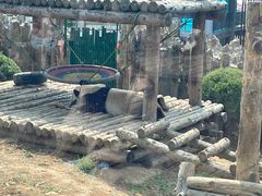 -大连森林动物园