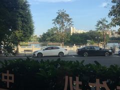 -OLD TREE老树咖啡·西餐厅(台山人工湖店)