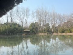 -溱湖国家湿地公园