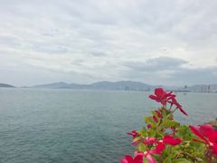 -越海渔村