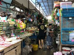 -万商花鸟市场