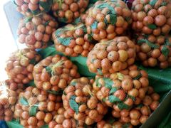 -果叔(红旗街店)