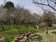-苏州上方山国家森林公园