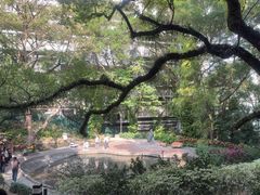 -香港大学