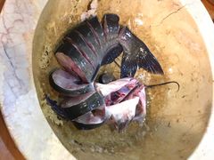 -云中鱼蒸汽石锅鱼(川沙百联店)