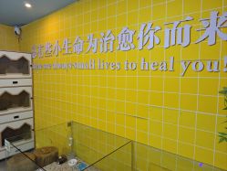 -神奇动物撸宠馆·羊驼·小浣熊·异宠(豫园店)
