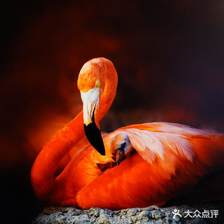 “飘着仙气儿”的艺术馆