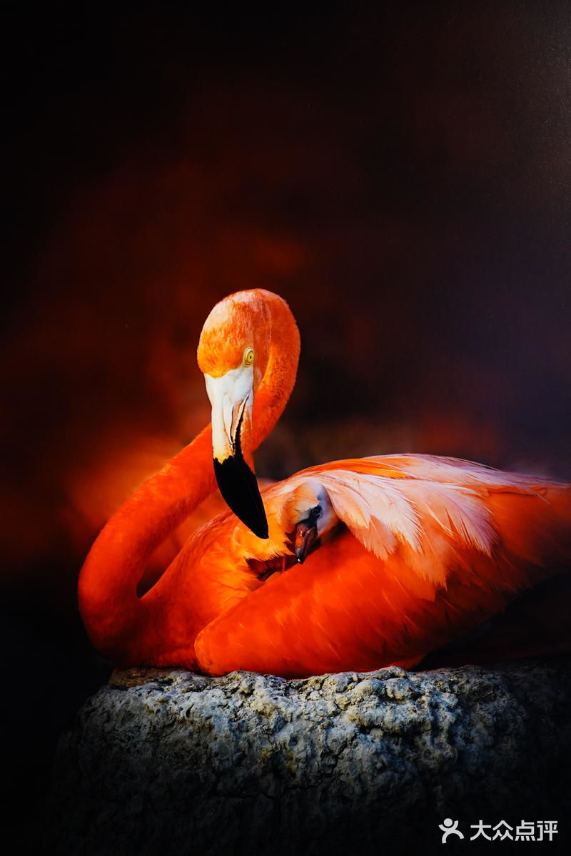 “飘着仙气儿”的艺术馆