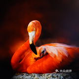 “飘着仙气儿”的艺术馆