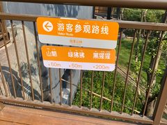 -武汉动物园