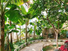 -石家庄市植物园