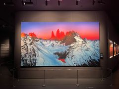 -罗红摄影艺术馆