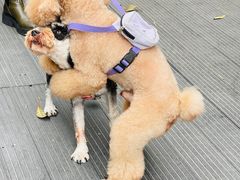 -小巨场咖啡