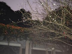 -广州市白云山风景名胜区