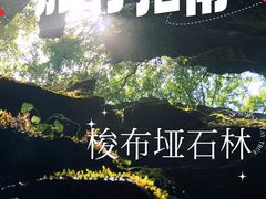 -梭布垭石林景区