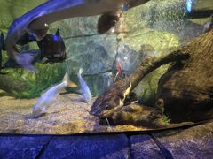 -沈阳海洋探索中心