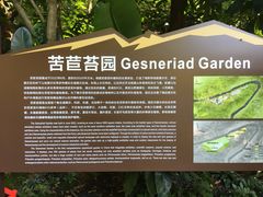 -深圳仙湖植物园