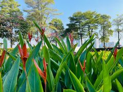 -花城苑广府菜(海心沙店)