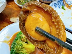 -金砂阿洲鱼册店