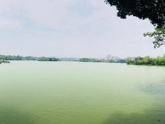 -惠州西湖丰渚园