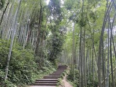 -云栖竹径
