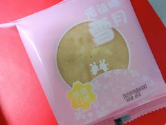 -元祖食品GANSO(常州新北区店)