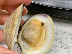清蒸白蛤-海岸风情蒸汽海鲜自助餐厅(家宴金手勺店)