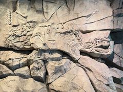 -正佳自然科学博物馆