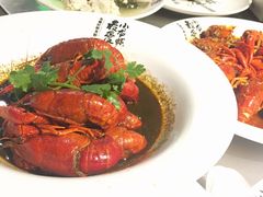 -龙巢盱眙龙虾·牛蛙·烧烤宵夜(八卦岭店)