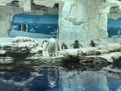 -华夏文旅西安度假区