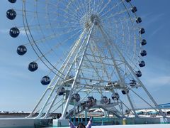 -秦皇岛乐岛海洋王国