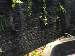 -一只烧鸡公(解放碑店)