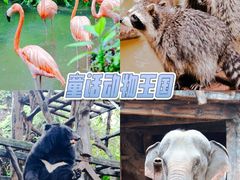 -长鹿旅游休博园