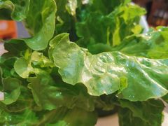 -牛缘村·贵州黄牛肉火锅(西善桥店)