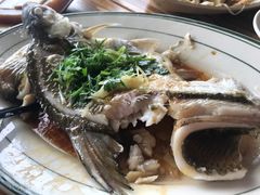 清蒸西边江鱼-八仔大富楼·河鲜(西江店)