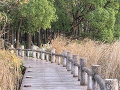 -东湖落雁景区