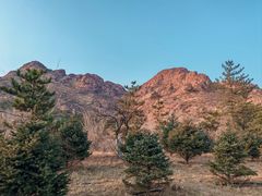 -红山国家森林公园