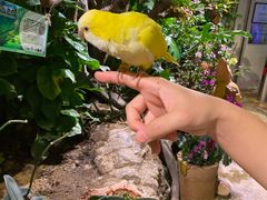 -正佳雨林生态植物园