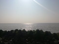 -南汇嘴观海公园