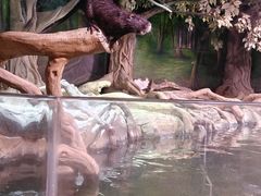 -正佳雨林生态植物园