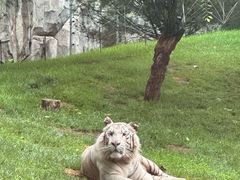 -北京野生动物园