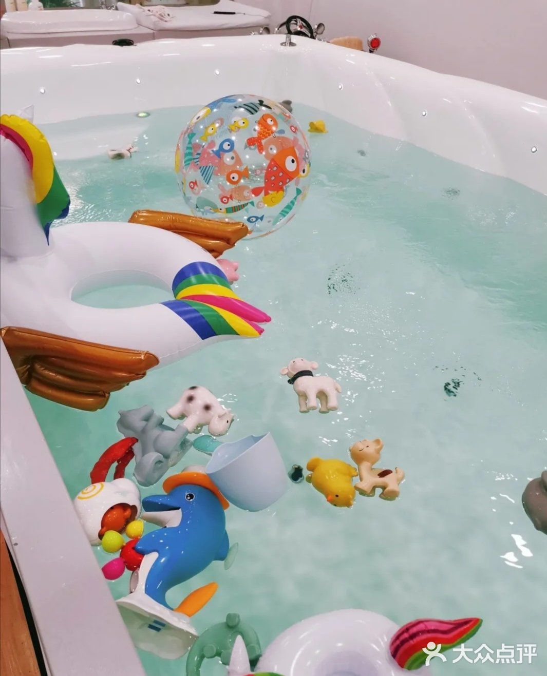 带娃游泳好去处